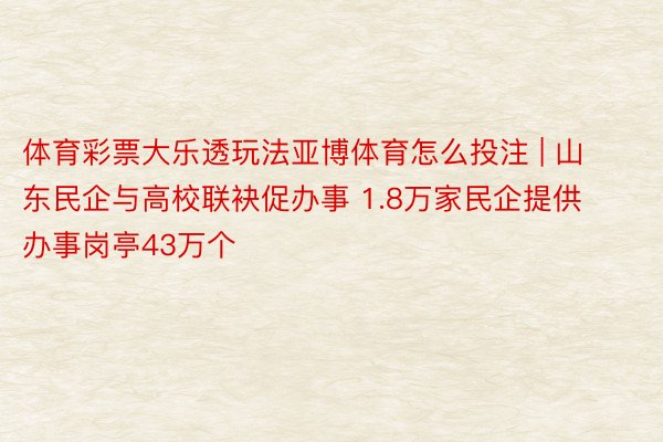 体育彩票大乐透玩法亚博体育怎么投注 | 山东民企与高校联袂促办事 1.8万家民企提供办事岗亭43万个