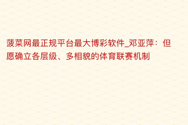 菠菜网最正规平台最大博彩软件_邓亚萍：但愿确立各层级、多相貌的体育联赛机制